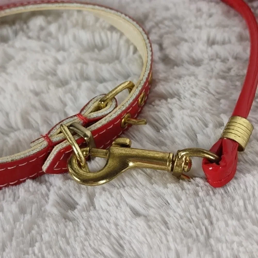 Red Collar & Leash 12